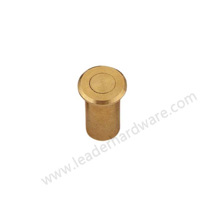 door floor bolt